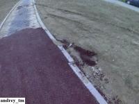 Imagine atasata: Timisoara - 27 noiembrie (36).jpg